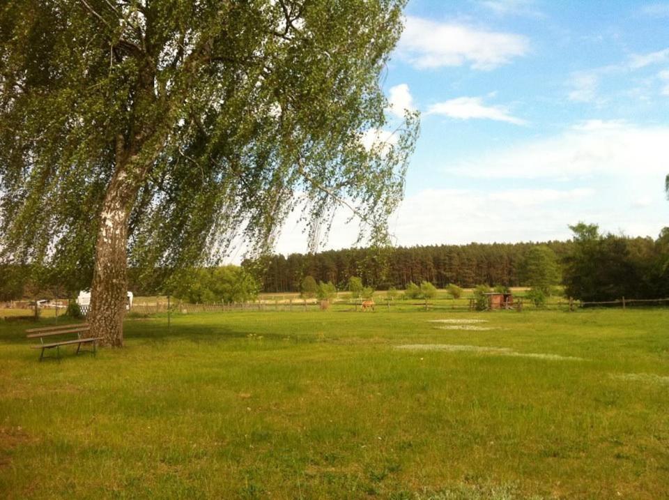 Landhotel Am Peetscher See Миров Екстериор снимка